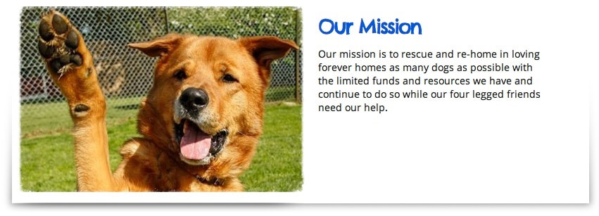 Our mission is to rescue dogs
