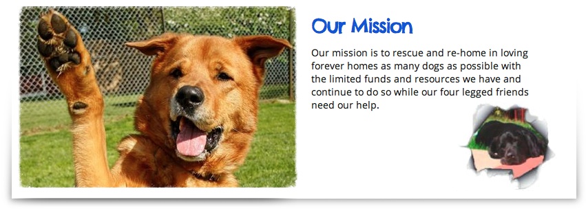 Our mission is to rescue dogs
